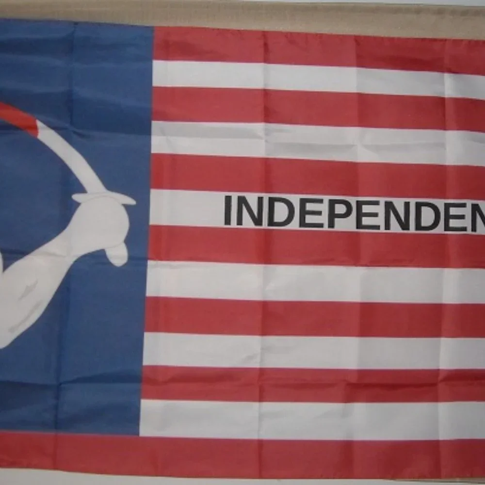 Brown's Flag of Independence Texas Revolution 3' x 5' Flag Banner Velasco 1835